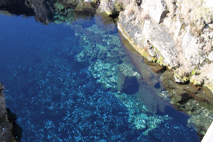 Pingvellir