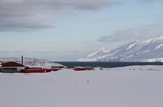 Dalvik
