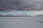 Dalvik