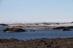 Myvatn