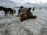Hrafnagil