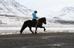 Hrafnagil