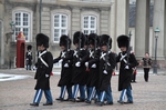 Amalienborg Wachabl&ouml;se