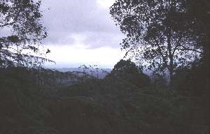 Blick nach Moshi
