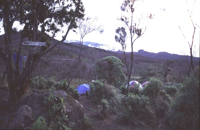 Machame Camp 2990m