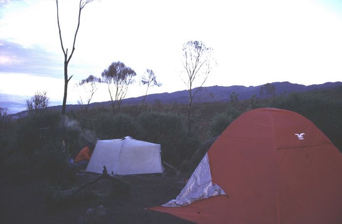 Machame Camp 2990m