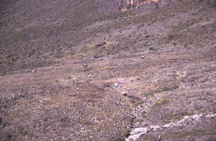 Camp Barranco (Umbwe) Hut 3965m