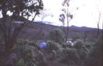 Machame Camp 2990m
