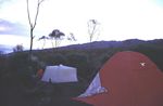 Machame Camp 2990m