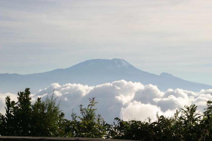 Kilimanjaro von der Miriakambah&uuml;tte