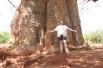 Rast beim Baobab (Affenbrotbaum)