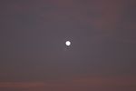Vollmond