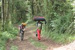 Forststra&szlig;e zur Machame Hut 2990m