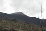 Weg zum Shiracamp 3880m