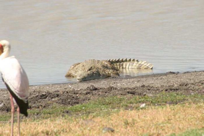 Nairobi NP
