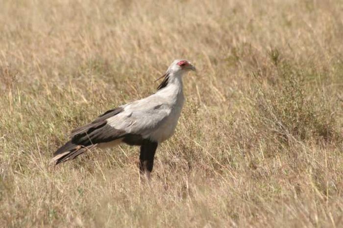 Nairobi NP
