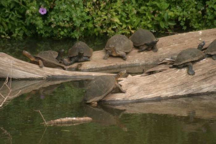 Nairobi NP