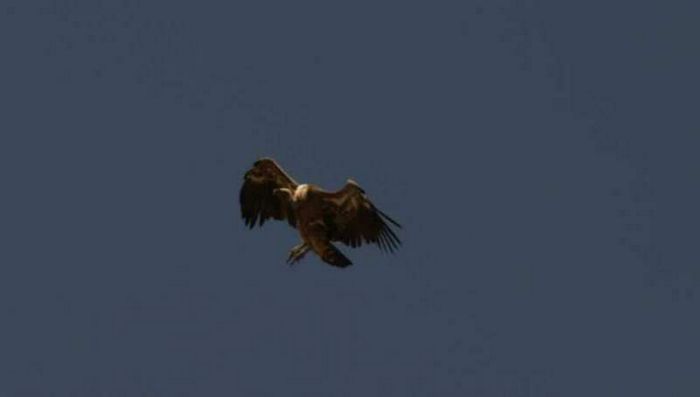 Masai Mara Game Reserve
