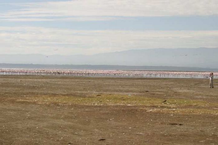 Lake Nakuru NP