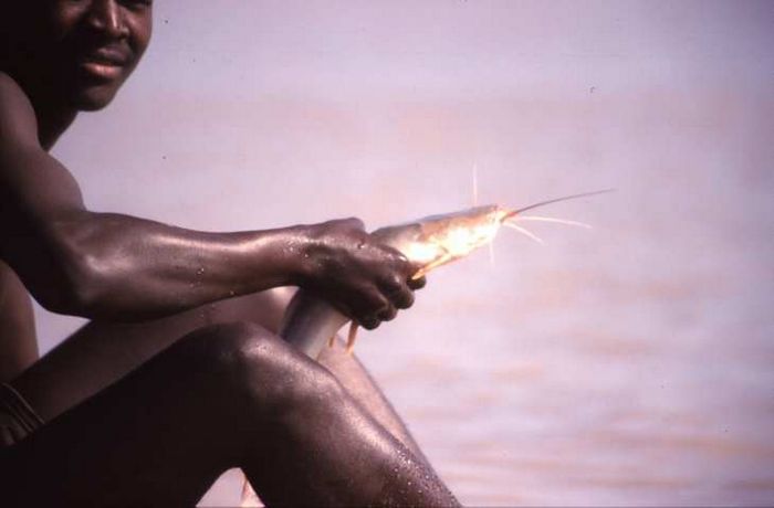 Lake Baringo