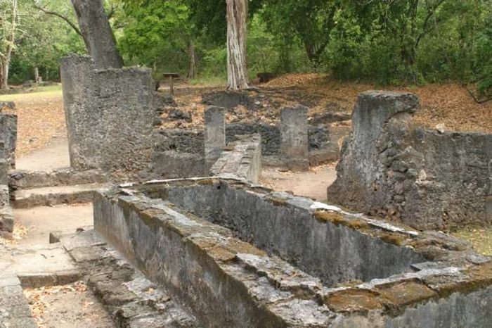 Gedi Ruinen