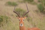 Nairobi NP