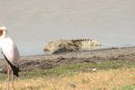 Nairobi NP