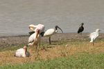 Nairobi NP