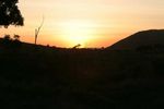 Masai Mara Game Reserve