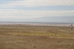 Lake Nakuru NP