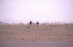 Marsabit NP